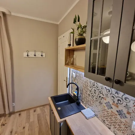 Klimatyczny Apartament Na Bydgoskim Przedmiesciu Торунь Екстер'єр фото