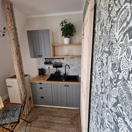 Klimatyczny Apartament Na Bydgoskim Przedmiesciu Торунь Екстер'єр фото