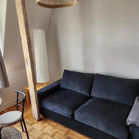 Klimatyczny Apartament Na Bydgoskim Przedmiesciu Торунь Екстер'єр фото