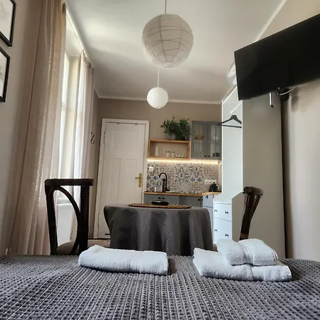 Klimatyczny Apartament Na Bydgoskim Przedmiesciu Торунь Екстер'єр фото